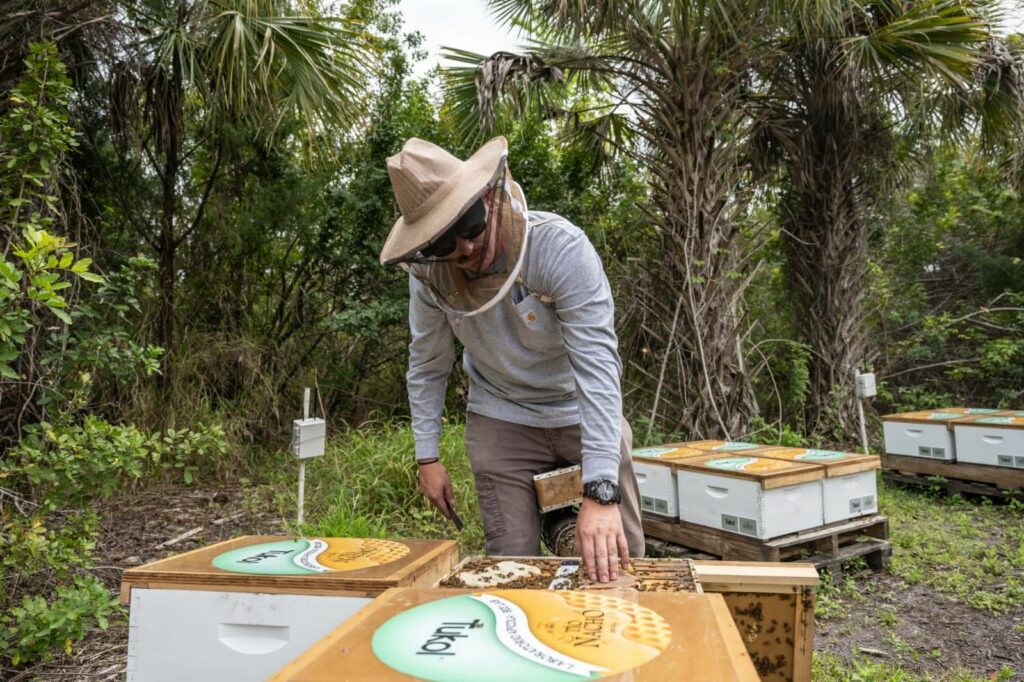 Tío Nacho refuerza su compromiso con la protección de las abejas